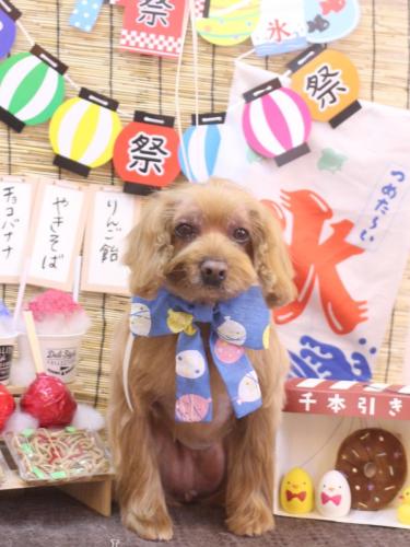 20240704紋之助くん